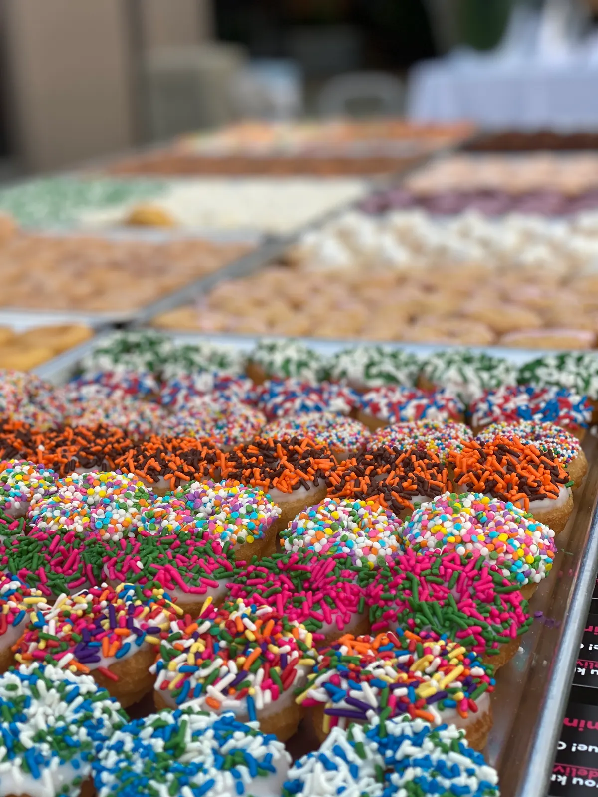 Trays of frosted mini donuts with colorful sprinkles